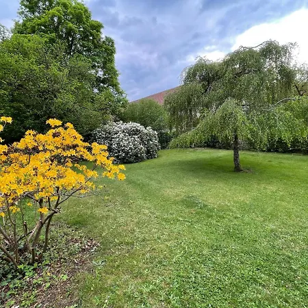 A L'ombre Des Tilleuls Ferienhaus Husseren-Wesserling